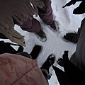 照片 231.jpg