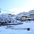 2011_041.JPG