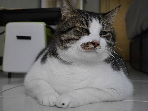 IMG_5194.JPG IMG_5194.JPG