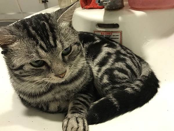 IMG_5785.JPG IMG_5785.JPG