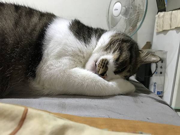 IMG_5864.JPG IMG_5864.JPG