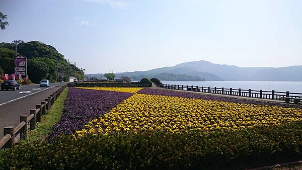 4.13 池田湖、開聞岳 (4).JPG