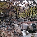 海雲台區 梵魚寺 (21).JPG