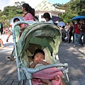 進動物園囉