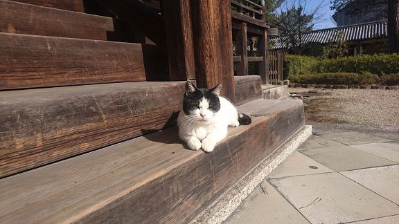 DSC_0416(001).jpg DSC_0416(001).jpg