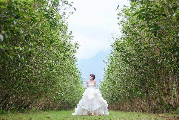 1898339_849455035068268_1429011557_o