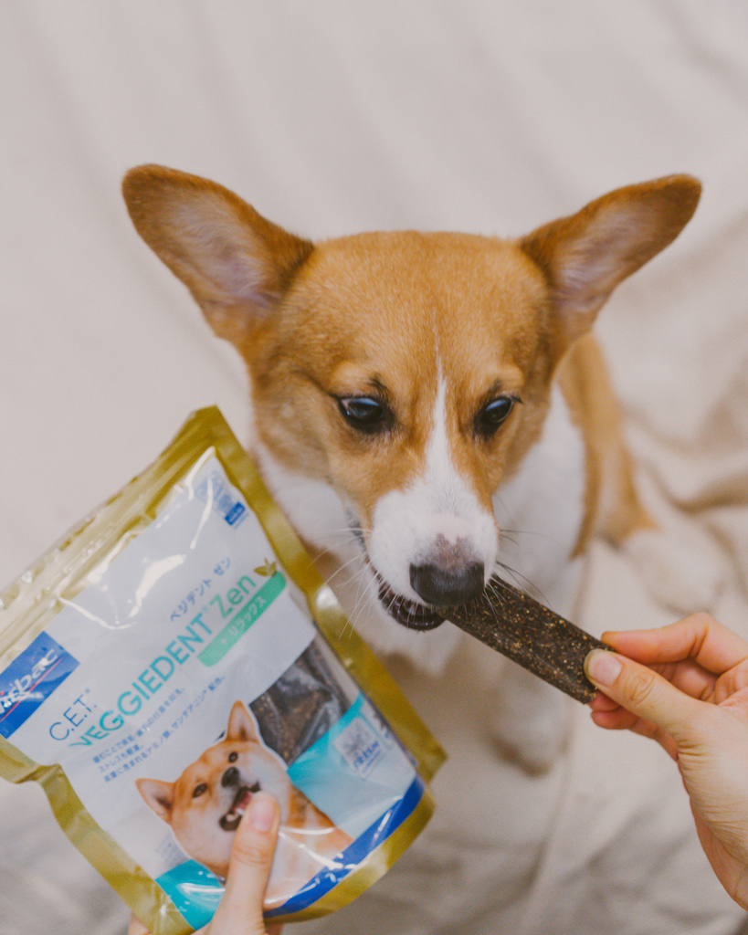 ｜寵物潔齒片推薦｜ Virbac法國維克VOHC認證潔齒嚼片安全有效FRE3H成分預防牙周病/減少牙結石/全天然配方適口性佳 狗狗超愛吃