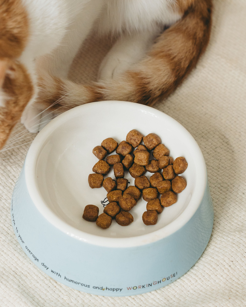 皇家潔牙2.jpg 皇家潔牙2.jpg