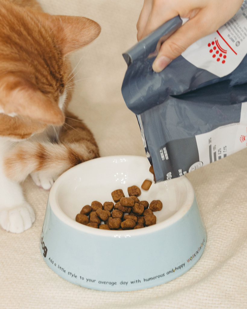 皇家潔牙3.jpg 皇家潔牙3.jpg