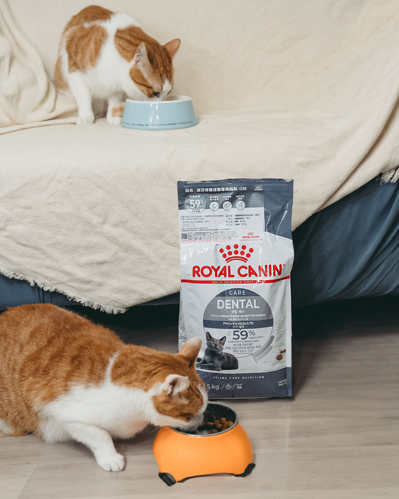 皇家潔牙.jpg 皇家潔牙.jpg