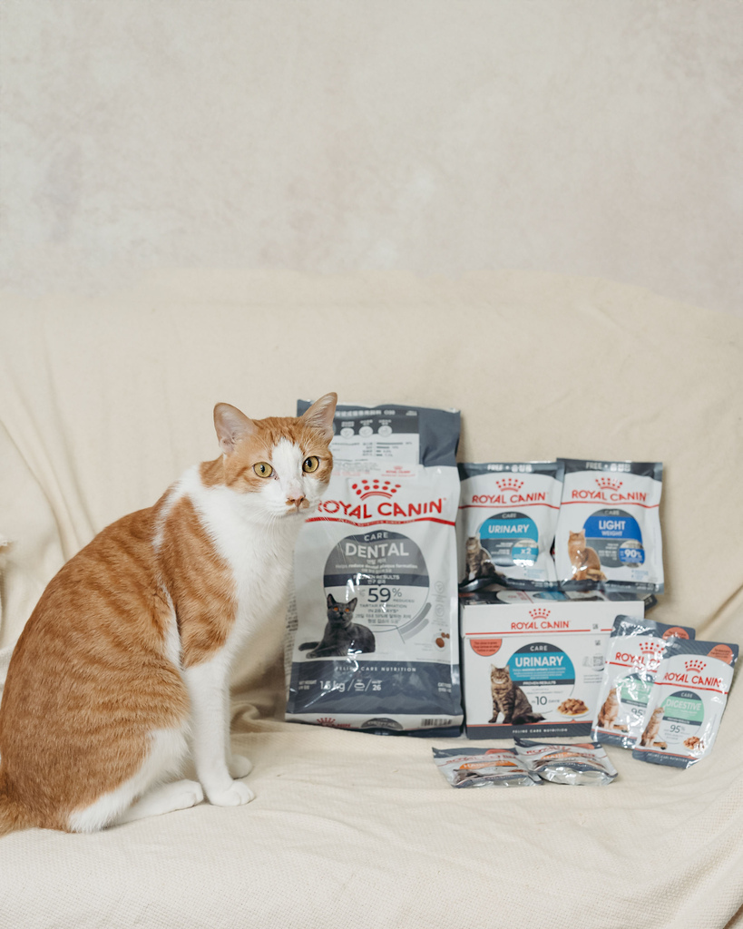 皇家3.jpg 皇家3.jpg