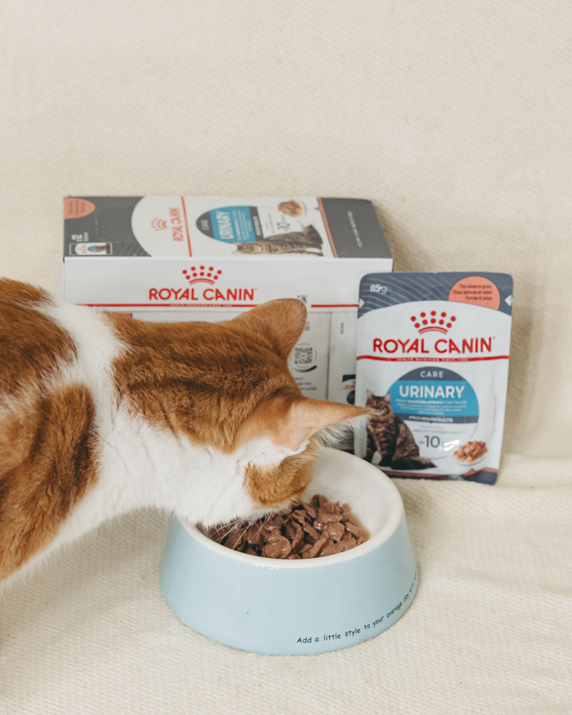 皇家泌尿保健3.jpg 皇家泌尿保健3.jpg