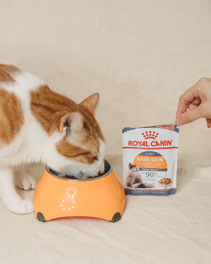 皇家亮毛配方3.jpg 皇家亮毛配方3.jpg