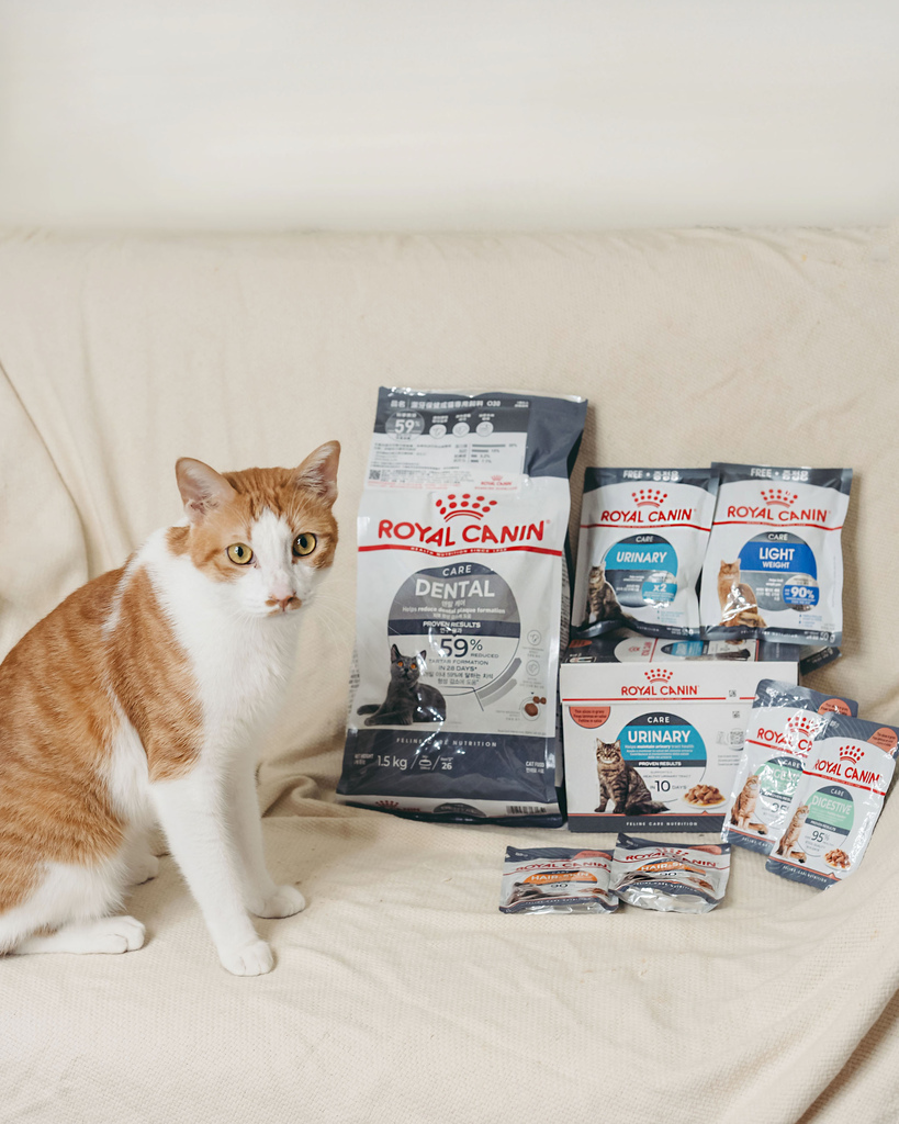 皇家.jpg 皇家.jpg