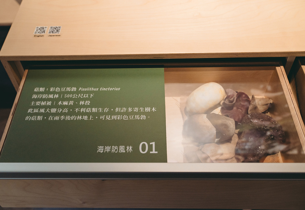 「2024霧峰一日遊」 光復新村/桂田麵包/霧峰菇類產學館 