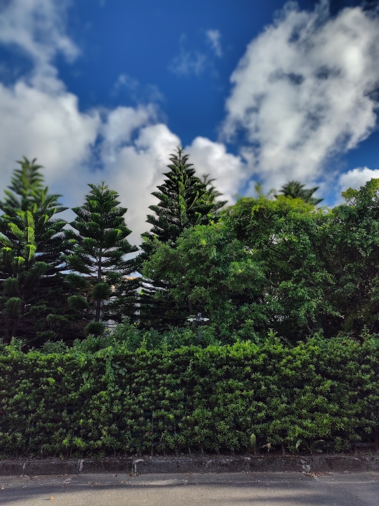 【開箱】SHARP AQUOS sense8 絕美極輕手機推 【開箱】SHARP AQUOS sense8 絕美極輕手機推