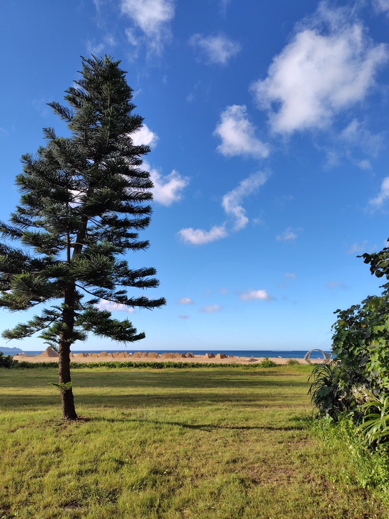 【開箱】SHARP AQUOS sense8 絕美極輕手機推 【開箱】SHARP AQUOS sense8 絕美極輕手機推
