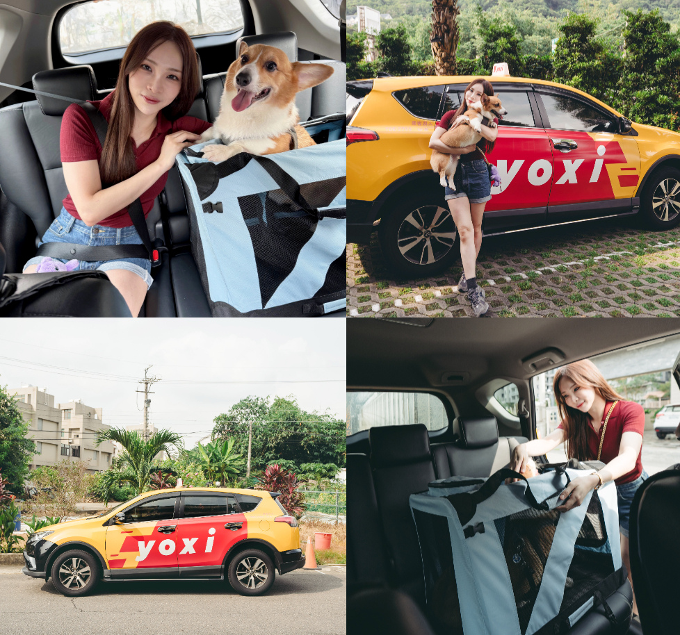 【叫車app推薦】寵物搭車OK!! yoxi乘車服務 寵物友
