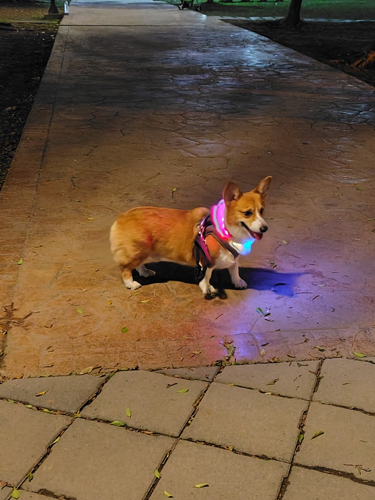 【開箱】輕手機推薦 東京本色日潮直送 SHARP AQUO 【開箱】輕手機推薦 東京本色日潮直送 SHARP AQUO