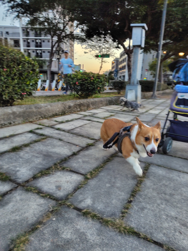 【開箱】輕手機推薦 東京本色日潮直送 SHARP AQUO 【開箱】輕手機推薦 東京本色日潮直送 SHARP AQUO