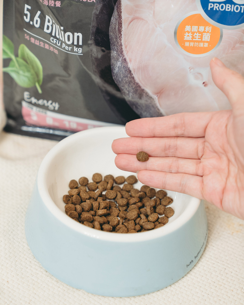 【开箱】市售三款热门无谷猫粮分享：耐吉斯高肉量低碳水E系列 
