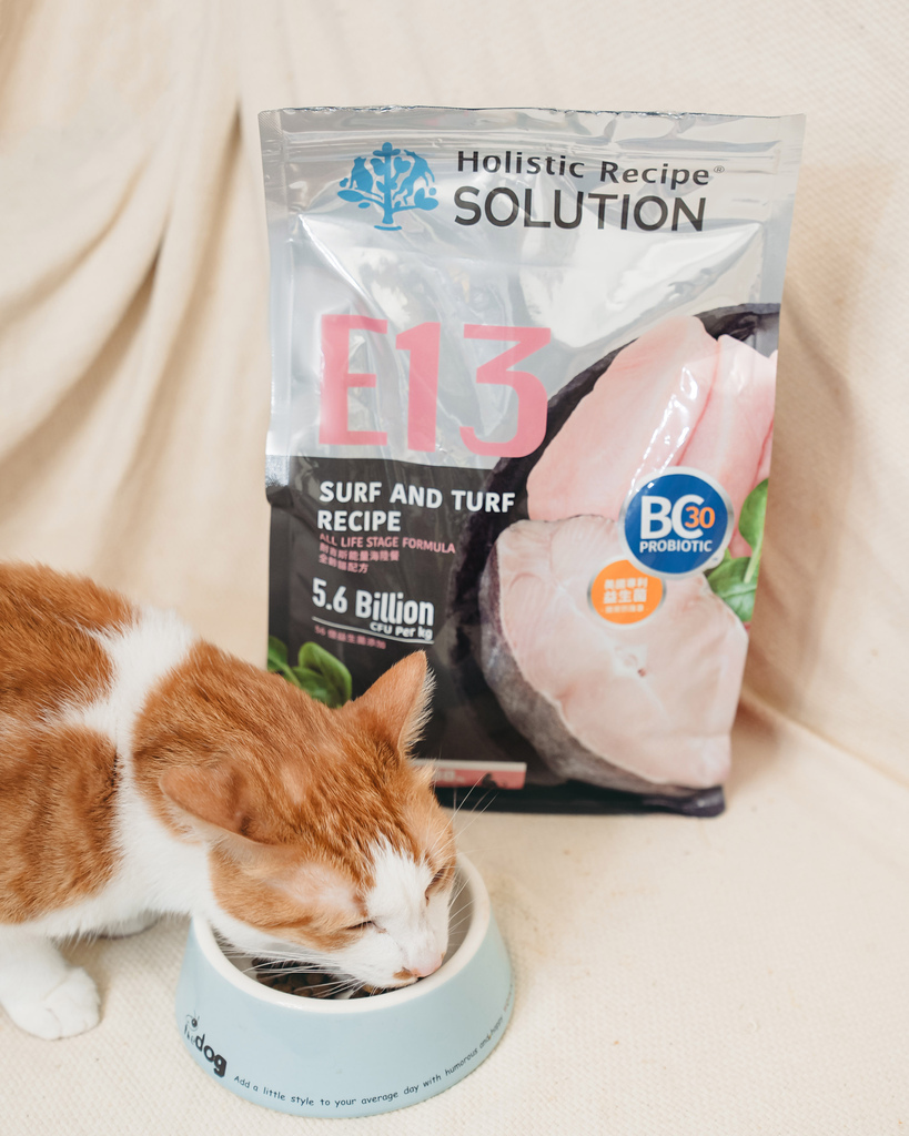 【开箱】市售三款热门无谷猫粮分享：耐吉斯高肉量低碳水E系列 