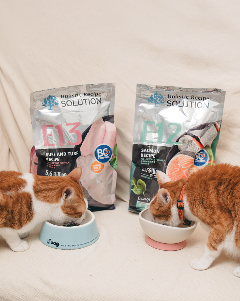 【开箱】市售三款热门无谷猫粮分享：耐吉斯高肉量低碳水E系列 