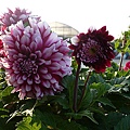 5c2abee45e6d104ab6414e53dce0de32