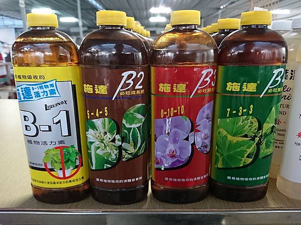 DSC_0028.JPG DSC_0028.JPG