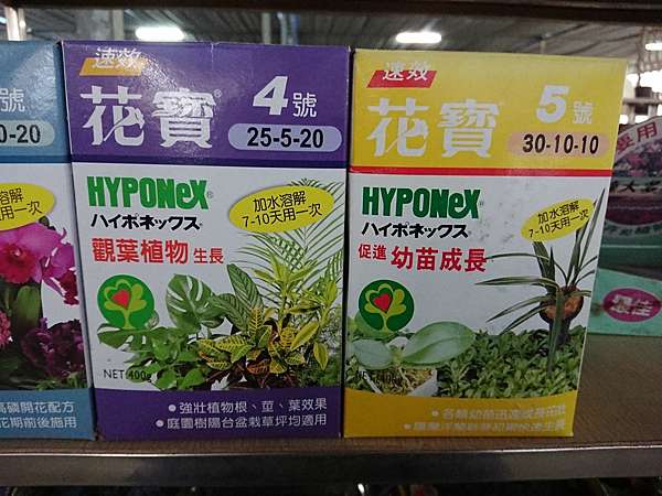 多肉植物的施肥 詰雅花卉 痞客邦 多肉植物的施肥 詰雅花卉 痞客邦