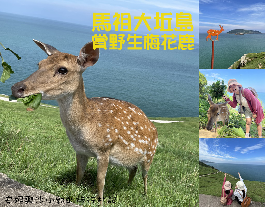 大坵島首圖.png