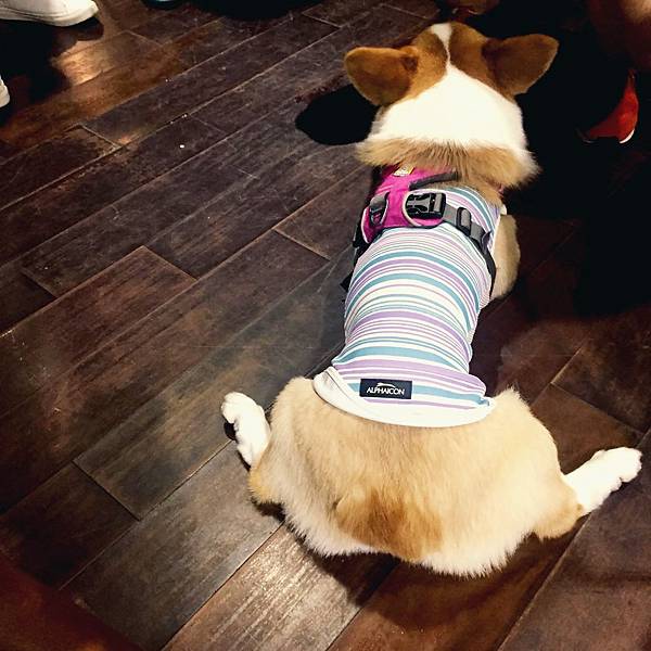 相片 2016-8-24 下午4 27 30.jpg