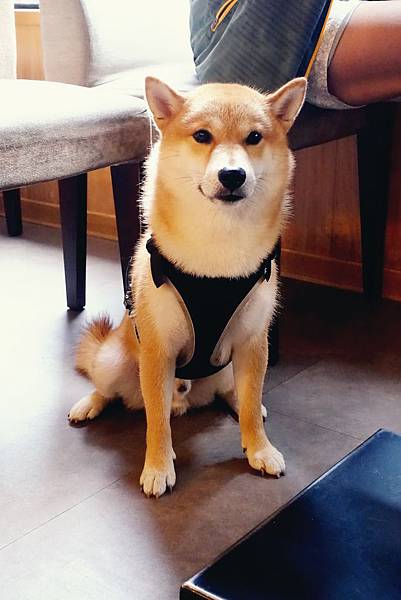 __ 2016-10-9 __4 39 03.jpg __ 2016-10-9 __4 39 03.jpg