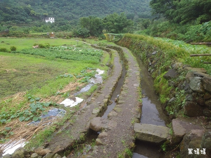 20160605魚路古道-八煙聚落 (8).jpg