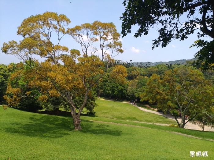 20170514001.jpg 20170514001.jpg