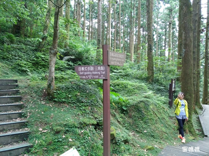 東眼山 (10).jpg