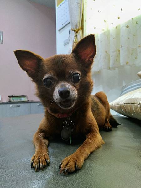 IMG_20220605_105959_HDR~2