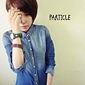 particle衣服36