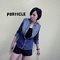 particle衣服3