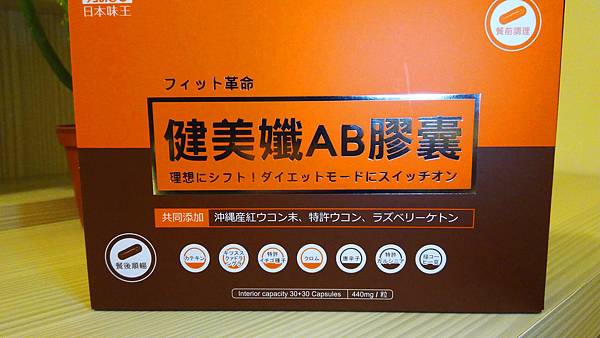20354162_1485477071473030_126974272_o.jpg 試用