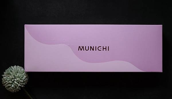 MUNICHI 沐尼黑 溫控直髮梳 ION負離子 直捲兩用 MCH陶瓷防燙梳齒 適合手殘黨的美髮造型工具