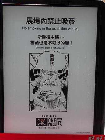 OnePiece-22.JPG