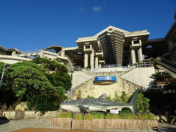 111水族館.JPG