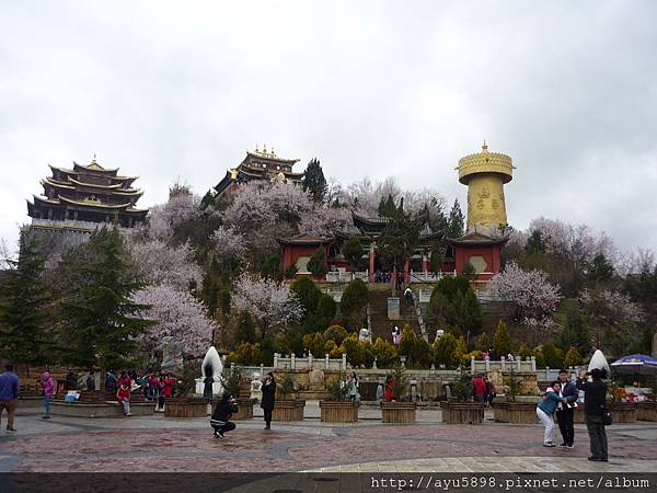 春遊雲南4月16日 (288).JPG