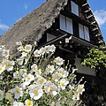 0235白川鄉_荻町合掌造り集落.JPG