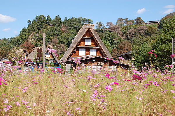 0225白川鄉_荻町合掌造り集落.JPG