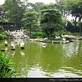 338.jurong birdpark_塘鵝灣.JPG