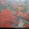 134京都_清水寺眺望.JPG