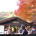 261トロﾂコ嵐山駅.JPG