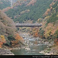 254嵯峨野小火車沿途風景.JPG